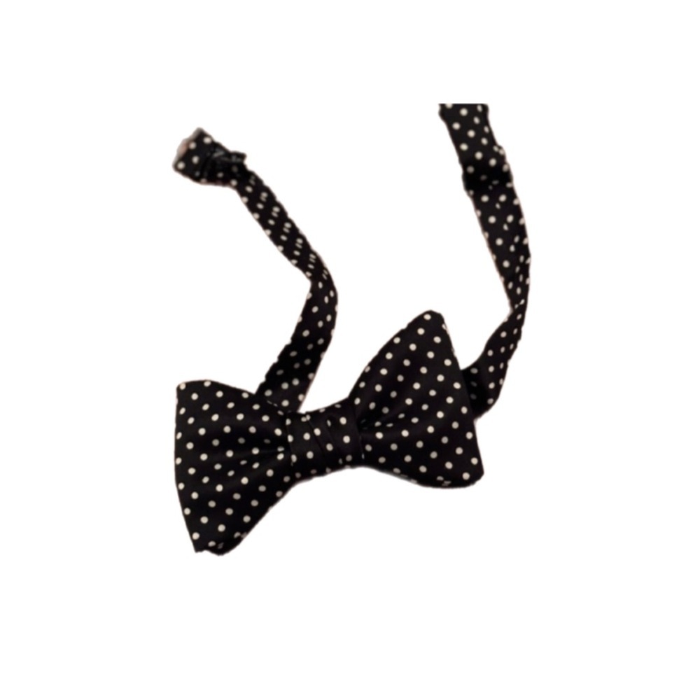 ☃️Dion Bow Tie